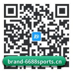 APK 极速安装包 二维码